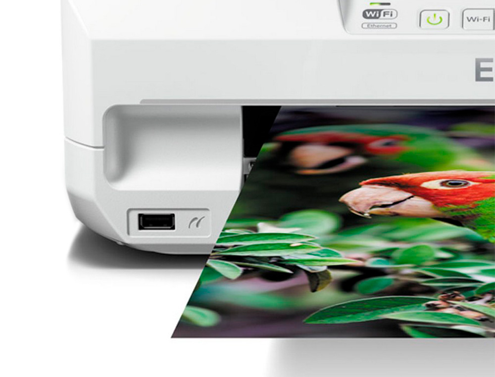 EPSON - Impresora tinta photo xp55 photo wifi 5760x1400 dpi 10 paginas minuto duplex (Ref. C11CD36402)