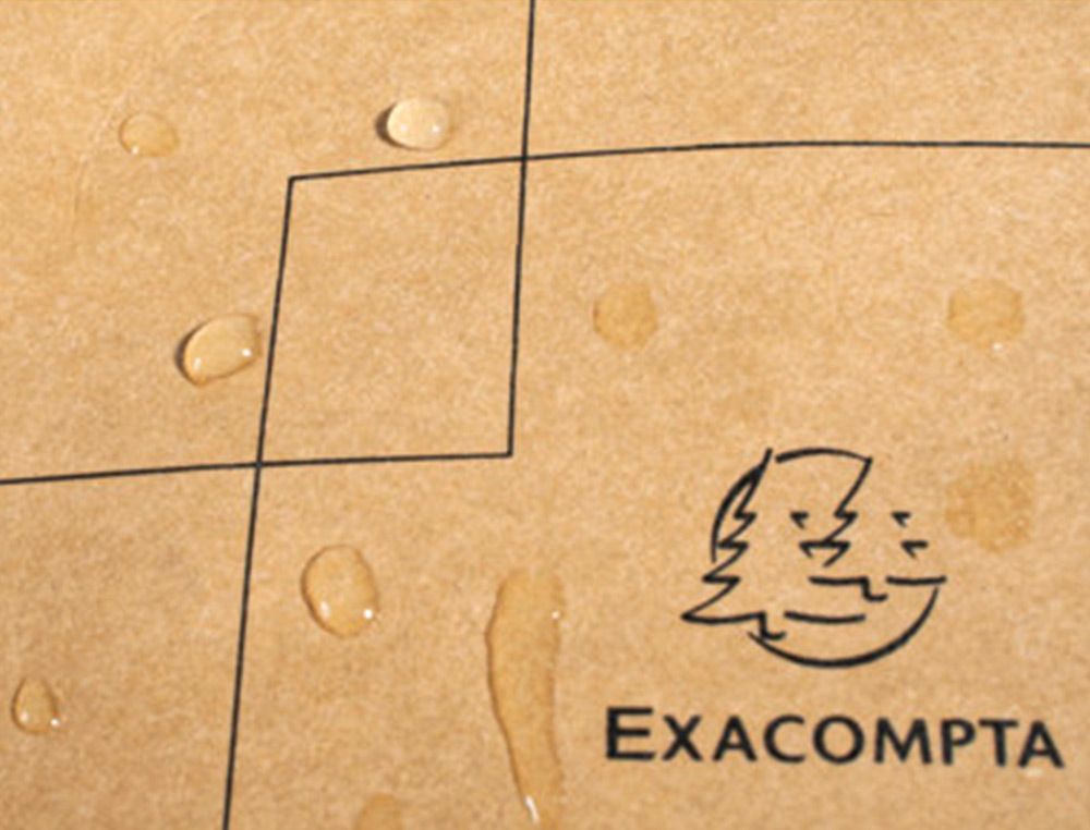 EXACOMPTA - Maletin para portatil eterneco 14\" cuero imitacion vegetal 325x90x420 mm (Ref. 17660E)