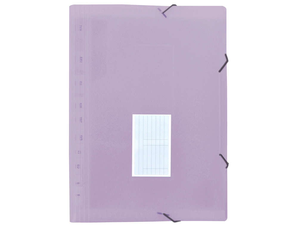 LIDERPAPEL - Carpeta clasificador fuelle polipropileno din A4 lavanda opaco 13 departamentos (Ref. FU38)