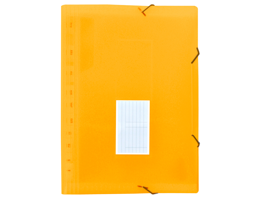 LIDERPAPEL - Carpeta clasificador fuelle polipropileno din A4 naranja fluor opaco 13 departamentos (Ref. FU37)