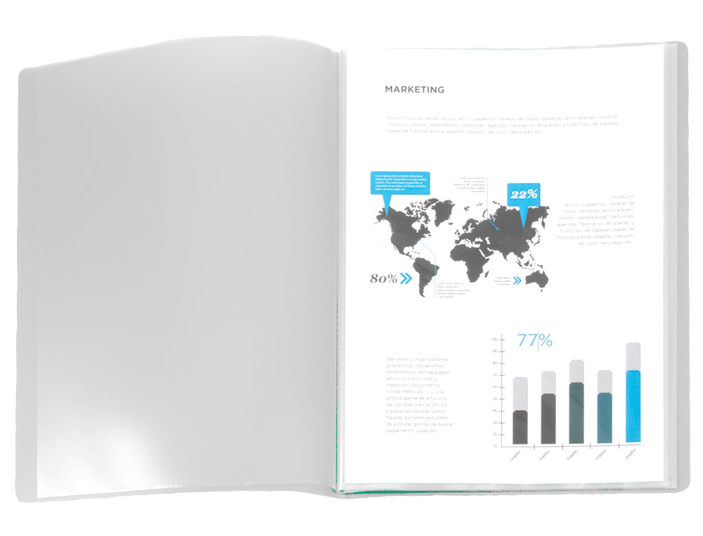 LIDERPAPEL - Carpeta escaparate 80 fundas polipropileno din A4 transparente (Ref. EC91)