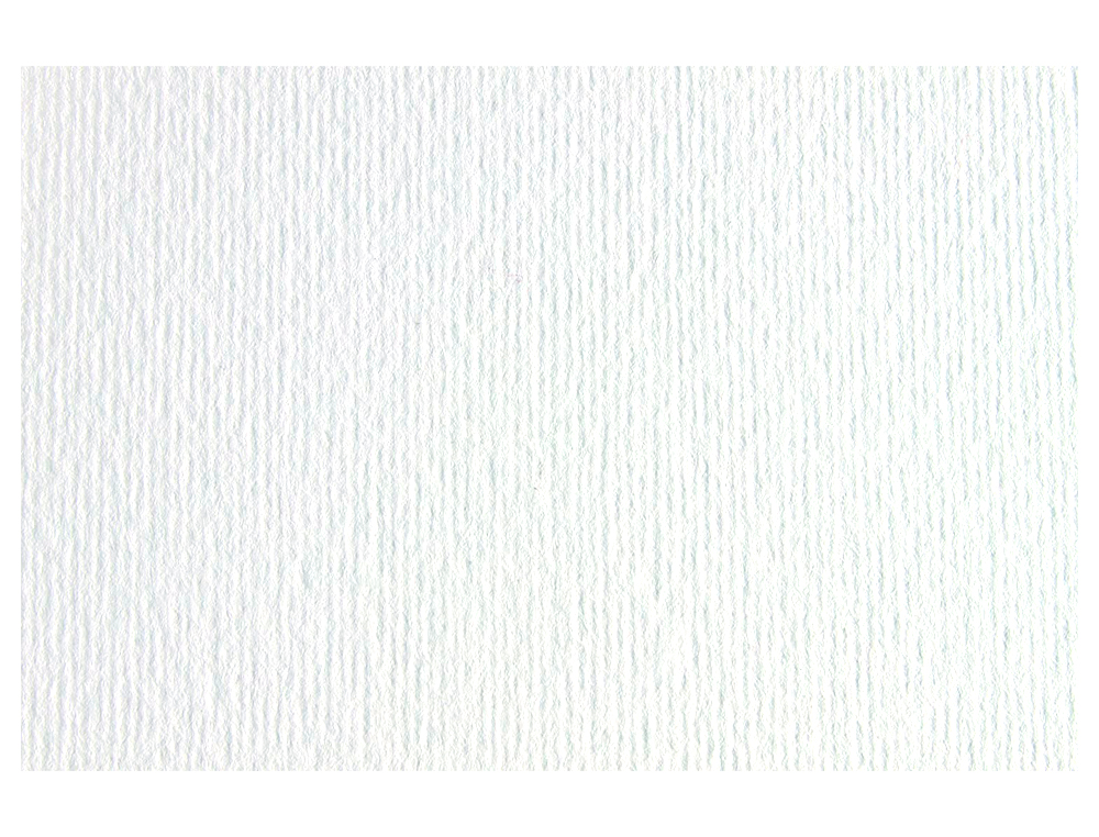 SADIPAL - Cartulina lisa/rugosa 2 texturas 50x70 cm 220g/m2 blanco (Ref. F42450700)