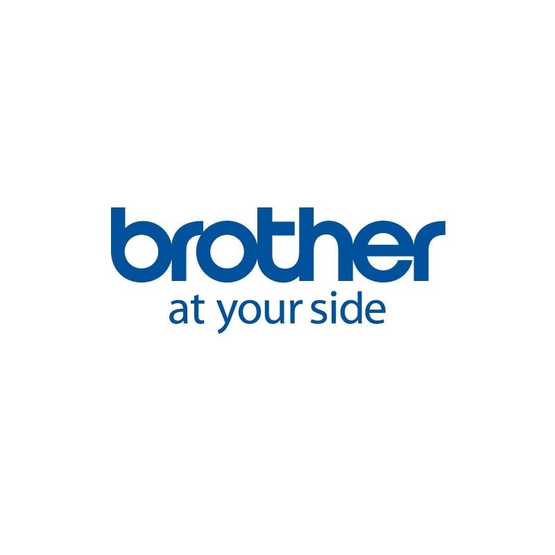 BROTHER - PAPEL TÉRMICO PROTEGIDO A4 CON TREPADO 30M/ROLLO (CAJA DE 12 ROLLOS) (Ref.LDP4F000210060I)