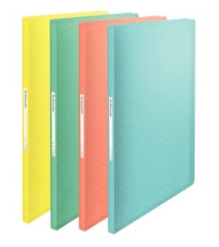ESSELTE - CARPETA CON 60 FUNDAS FIJAS COLOUR´ICE A4 POLIPROPILENO SURTIDOS TRANSLÚCIDOS -20UD- (Ref.626234)