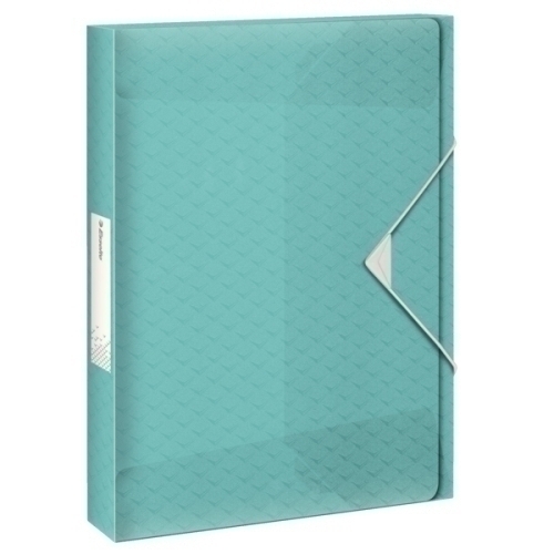 ESSELTE - CARPETA de PROYECTOS COLOUR"ICE PP A4 GOMAS 2,5 cm AZUL (Ref.626259)