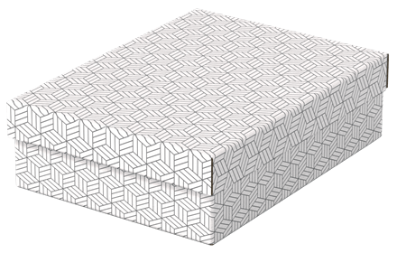 ESSELTE - PACK 3 CAJAS BLANCAS 360X265X100MM (Ref.628284)