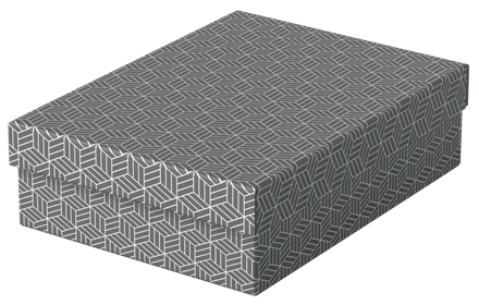 ESSELTE - PACK 3 CAJAS GRISES 360X265X100MM (Ref.628285)