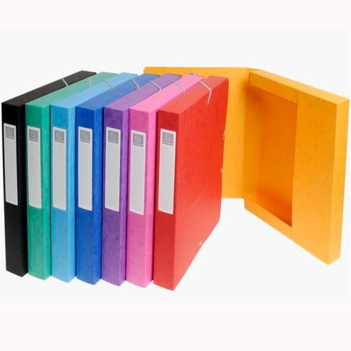 EXACOMPTA - CARPETA de PROYECTOS EXABOX CARTULINA LUSTRADA NATURE FUTURE A4+ GOMAS 2,5 cm SURTIDO (8 col.) (Ref.50300E)