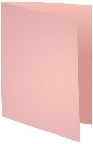 EXACOMPTA - SUBCARPETA FOREVER 180 170g A4 ROSA PAQUETE de 100 (Ref.420003E)