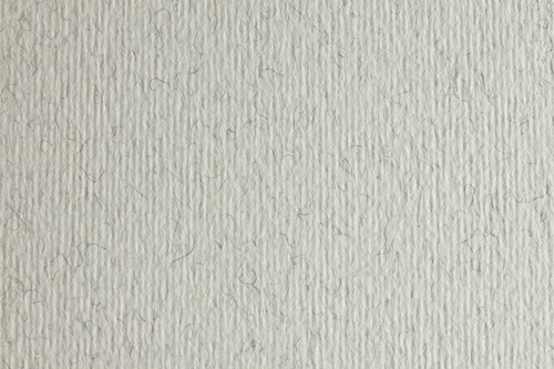 FABRIANO - CARTULINA LISA/RUGOSA 2 TEXTURAS 50X70 CM 220G/M2 GRIS (Ref.F42450729)