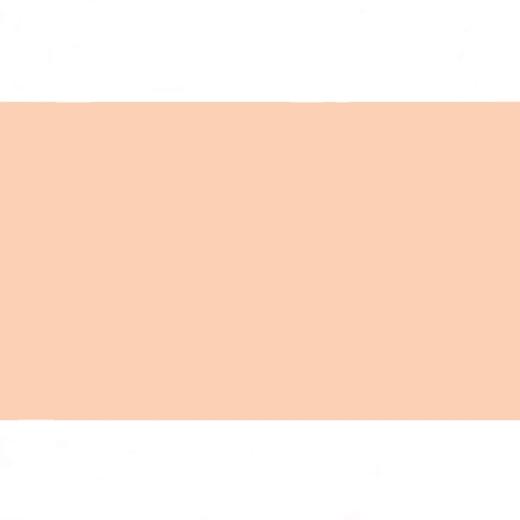 FAMA - GOMA EVA EB00 50X70 2MM PACK 10H PIEL (Ref.572EB00)