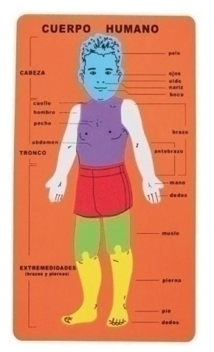 FIXO - GOMA EVA PUZZLE 20x32 cm. CUERPO HUMANO (Ref.5024/68002800)