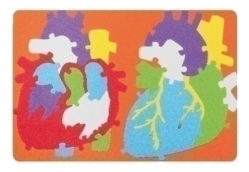 FIXO - GOMA EVA PUZZLE 23x32 cm. SISTEMA CARDIACO (Ref.5028/68003200)