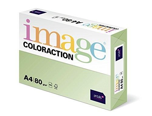 IMAGE - COLORACTION PAPEL REPROGRÁFICO DIN A4 80GR PAQUETE 500H JUNGLE/VERDE PASTEL -5U- (Ref.284973)