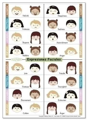 KLUGER - FICHAS EXPRESIONES FACIALES en varios idiomas PACK DE 5 (Ref.D11033)