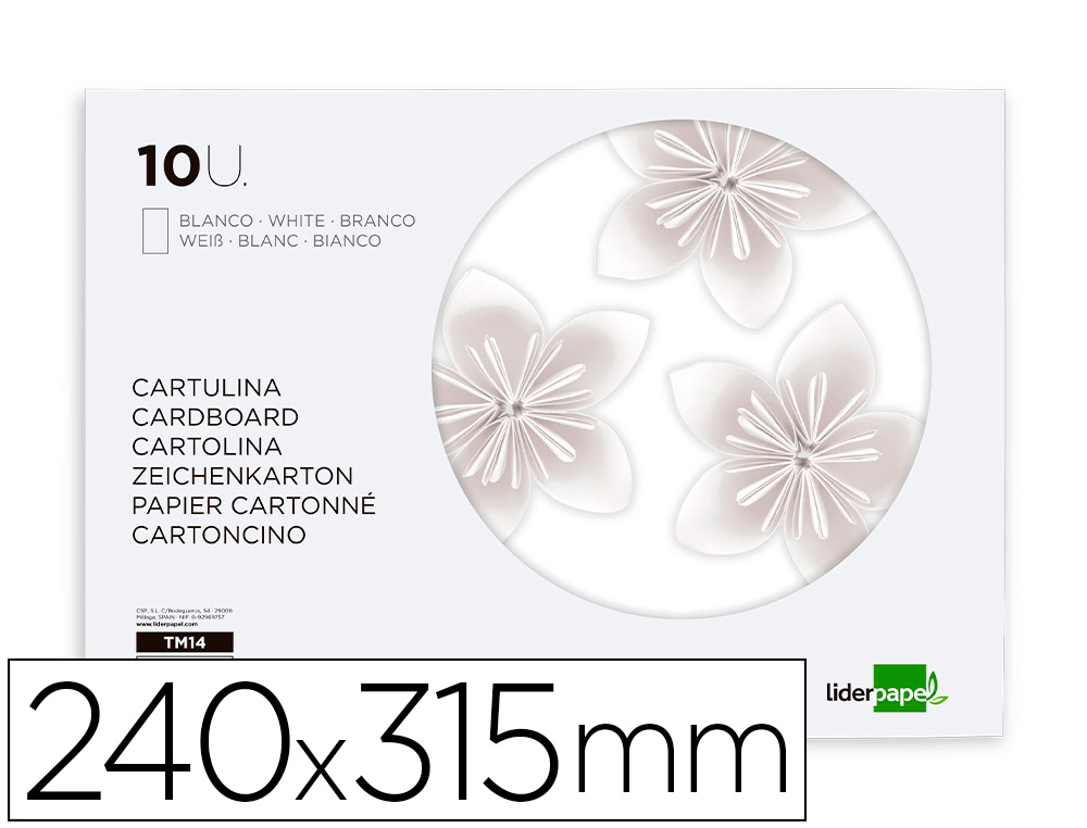 LIDERPAPEL - BLOC TRABAJOS MANUALES CARTULINA 240X315MM 10 HOJAS COLOR BLANCO (Ref.TM14)