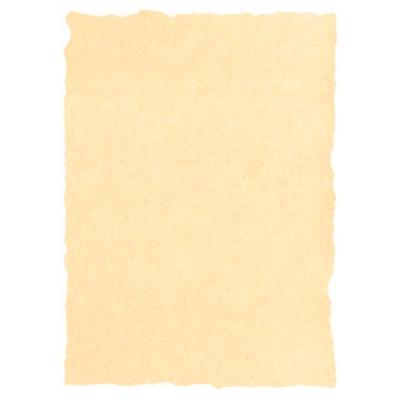 MICHEL - PERGAMINO TROQUELADO 160GR A4 PACK 25U CREMA (Ref.2603229)