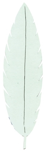 NIEFENVER - CARTULINA IMANTADA 24x15 cm. para PINTAR Y DECORAR VERDE BOLSA de 3 (Ref.1300158)