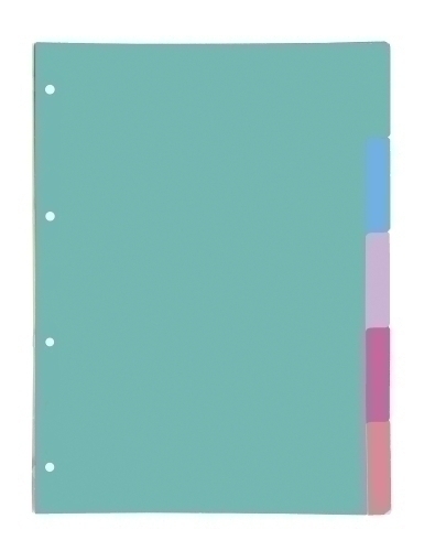 OXFORD - SEPARADORES CARTULINA A4 5 ps. (Ref.400149956)