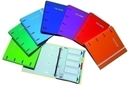 PACSA - CARPEBLOC EXCLUSIVE CARTON FORRADO SOFT A4 4 an.MIXTAS 25mm con REC. 120 hj. CUADRIC.5x5 + 5 SEPARADORES SURTIDO (8 col.) (Ref.25006)