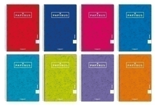 PAPYRUS - BLOC tapa EXTRA Fº 80h LISO 90g COL.SUR. (Ref.88441095)