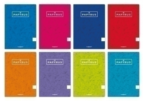 PAPYRUS - LIBRETA A5+ 48h 90g t.BLANDA CUADRIC.4x4 COL.SUR. (Ref.88431099)
