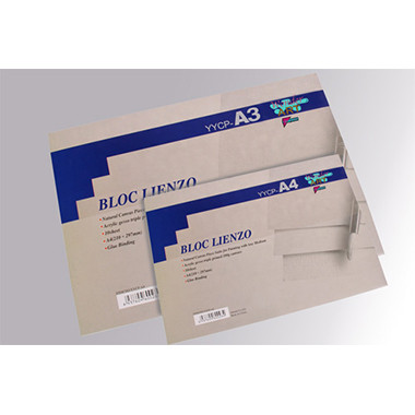 PRYSE - papel decorativo Bloc de hojas de papel para bellas artes 10 hojas (Ref.6230072)