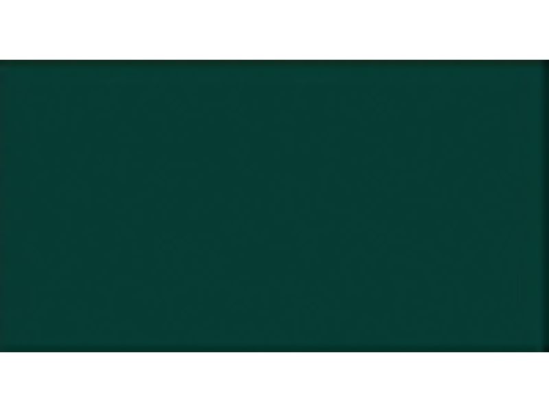 CANSON - Cartulina IRIS 50x65 cm Verde 185 gr (Ref.200040240)