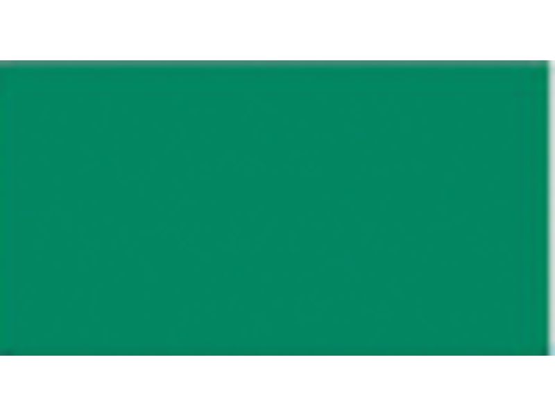 CANSON - Cartulina IRIS 50 Hojas A4 Verde abeto 185gr (Ref.200040173)