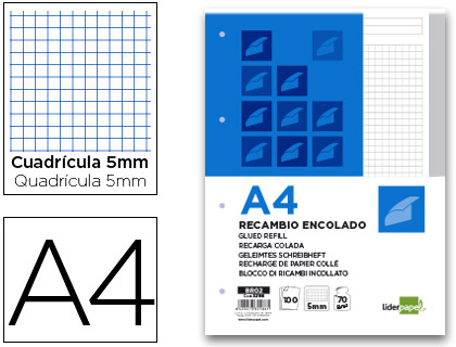 LIDERPAPEL - BLOC ENCOLADO CUADRO 5MM GRIS A4 APAISADO 100 HOJAS 70 G/M2 (Ref.BR02)