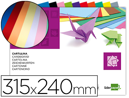 LIDERPAPEL - BLOC TRABAJOS MANUALES CARTULINA 240X315MM 10 HOJAS COLORES SURTIDOS (Ref.TM02)