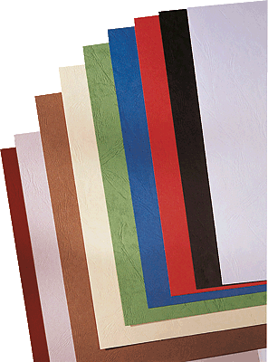 GBC - Caja 100 PORT.IBI. 250G. A4 NEGRO (Ref.CE040010)