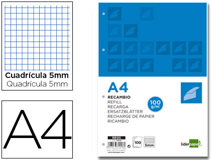 LIDERPAPEL - RECAMBIO A4 100 HOJAS 100 G/M2 CUADRO 5 MM 4 TALADROS BANDAS DE 5 COLORES (Ref.RE05)
