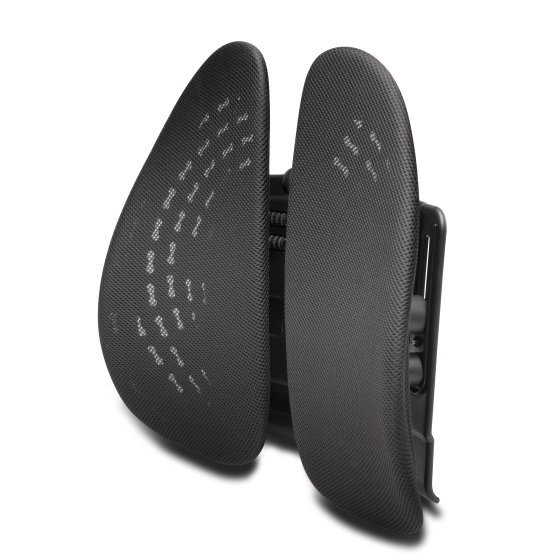 KENSINGTON - RESPALDO ERGONOMICO SMARTFIT MOLDEABLE (Ref.K60412WW)