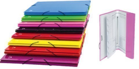 MARIOLA - Carpeta cartón forrado clasificadora,12 separadores en cartulina,340x260mm std fluor (Ref.1311SU)