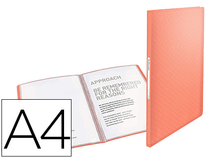 ESSELTE - CARPETA ESCAPARATE COLOUR ICE 40 FUNDAS POLIPROPILENO DIN A4 COLOR ALBARICOQUE (Ref.626226)