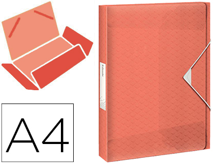 ESSELTE - CARPETA PROYECTOS COLOUR ICE POLIPROPILENO DIN A4 LOMO 40 MM COLOR ALBARICOQUE CIERRE GOMAS (Ref.626263)