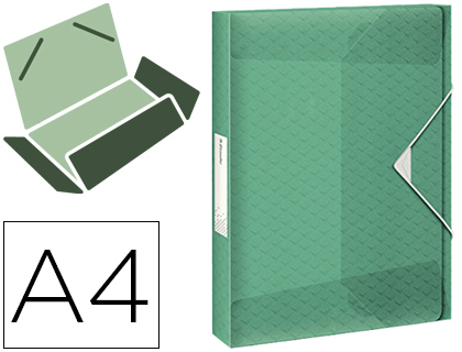 ESSELTE - CARPETA PROYECTOS COLOUR ICE POLIPROPILENO DIN A4 LOMO 40 MM COLOR VERDE CIERRE GOMAS (Ref.626265)