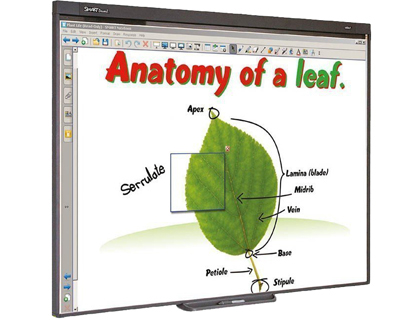 PROMETHEAN - Pizarra interactiva sb480 77\" con proyector y soporte (Ref. PACK SB480 BASICO)