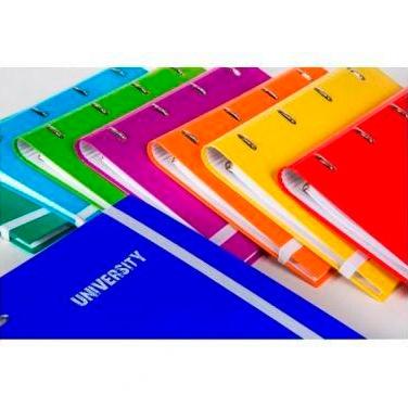 PACSA - CARPEBLOC EXCLUSIVE CARTON FORRADO SOFT A4 4 an.MIXTAS 35mm con REC. 120 hj. CUADRIC.5x5 + 5 SEPARADORES SURTIDO (8 col.) (Ref.25007)