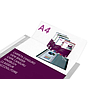LIDERPAPEL - Carpeta 60 fundas canguro pp din A4 transparenteportada y lomo personalizable (Ref. JC23)