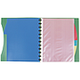 LIDERPAPEL - Carpeta A4 con 40 fundas intercambiables 5 sep sobre y gomilla portada y lomo personalizable verde (Ref. JC36)