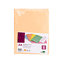 LIDERPAPEL - Subcarpeta A4 naranja pastel 180g/m2 (Ref. SC30)