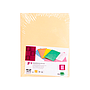 LIDERPAPEL - Subcarpeta folio naranja pastel 180g/m2 (Ref. SC37)