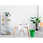 Q-CONNECT - Papelera plastico verde opaco 13 litros dim. 275x285mm (Ref. KF19036)