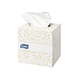 TORK - Pañuelos faciales extrasuaves 2 capas 20,9x20 cm caja cubo de 100 unidades (Ref. 140278)